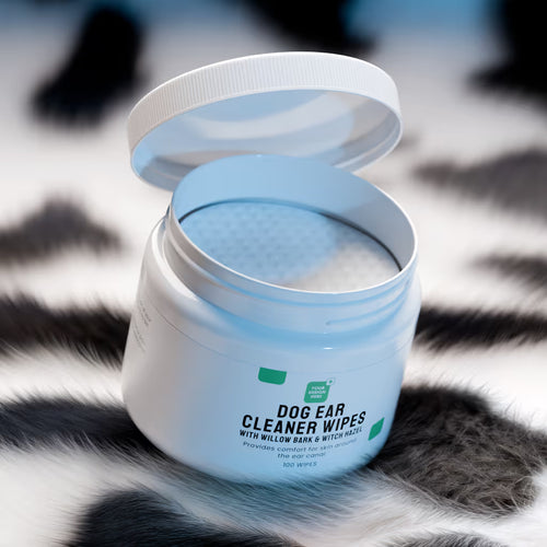 **Launch Your Brand™**